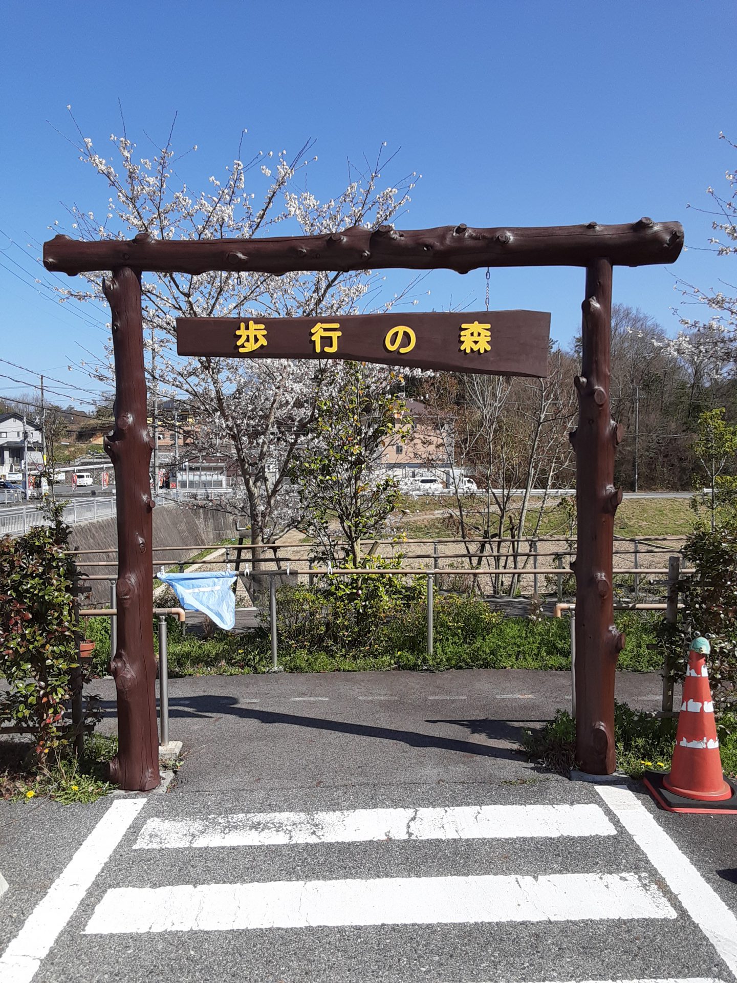 運動を習慣に